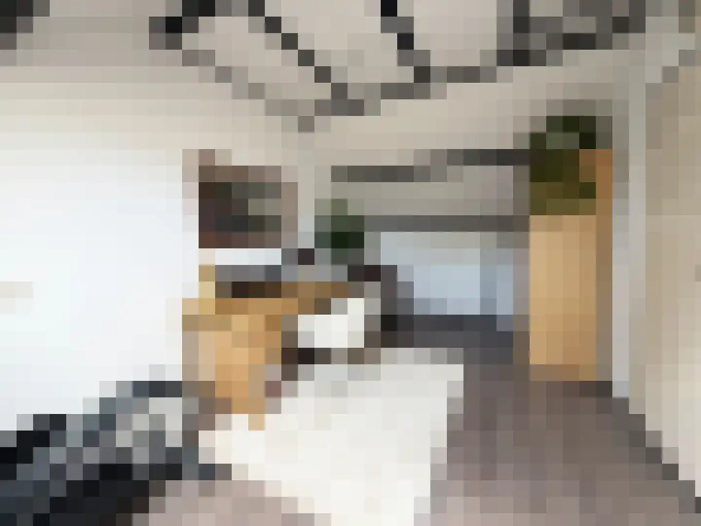 Hannie Schafthof 7 Soest thumbnail 27