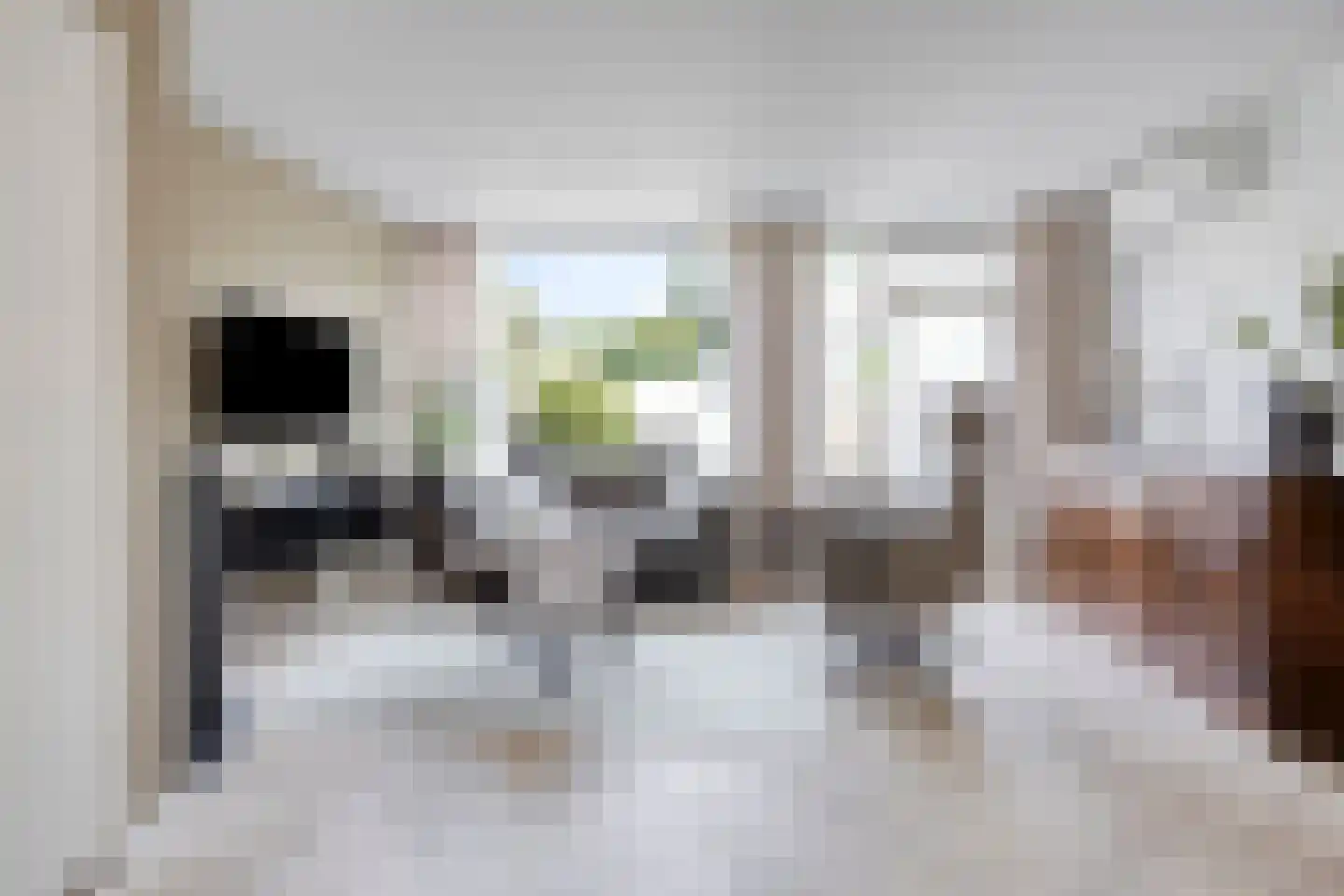 Hannie Schafthof 7 Soest thumbnail 8
