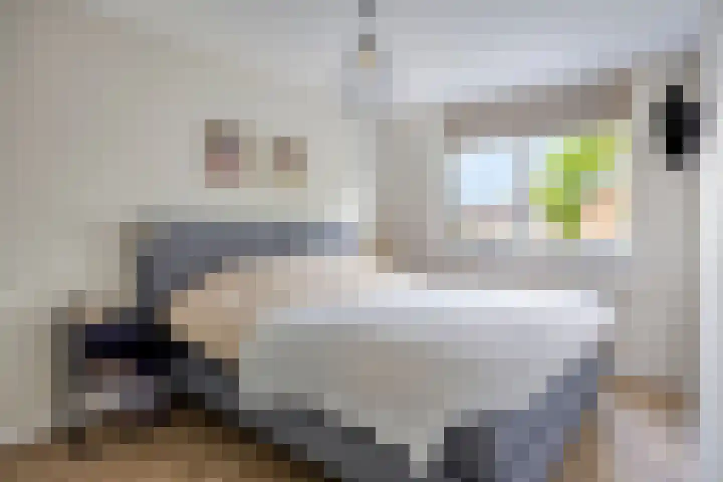 Hannie Schafthof 9 Soest thumbnail 14