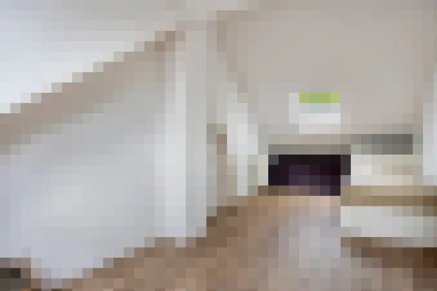 Hannie Schafthof 9 Soest thumbnail 24