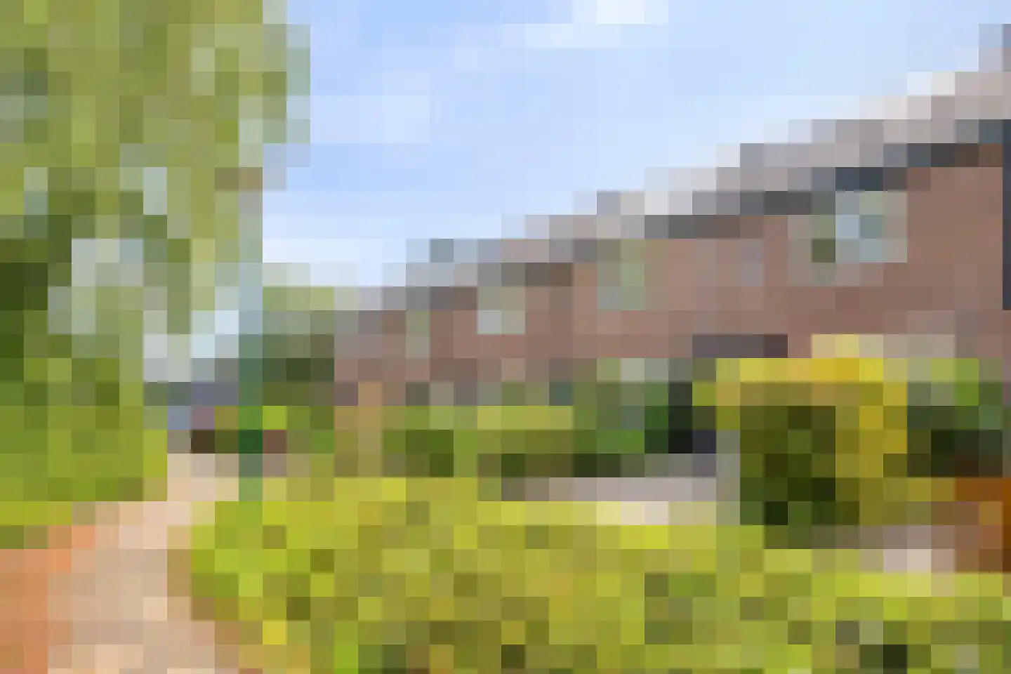 Hannie Schafthof 9 Soest thumbnail 29