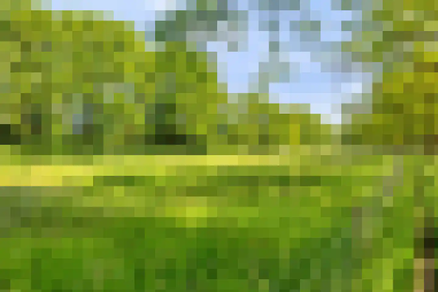 Hannie Schafthof 9 Soest thumbnail 32