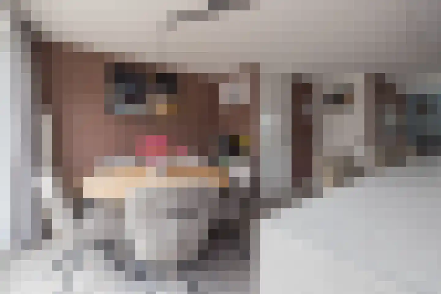 Hannie Schaftlaan 12 Lisse thumbnail 10