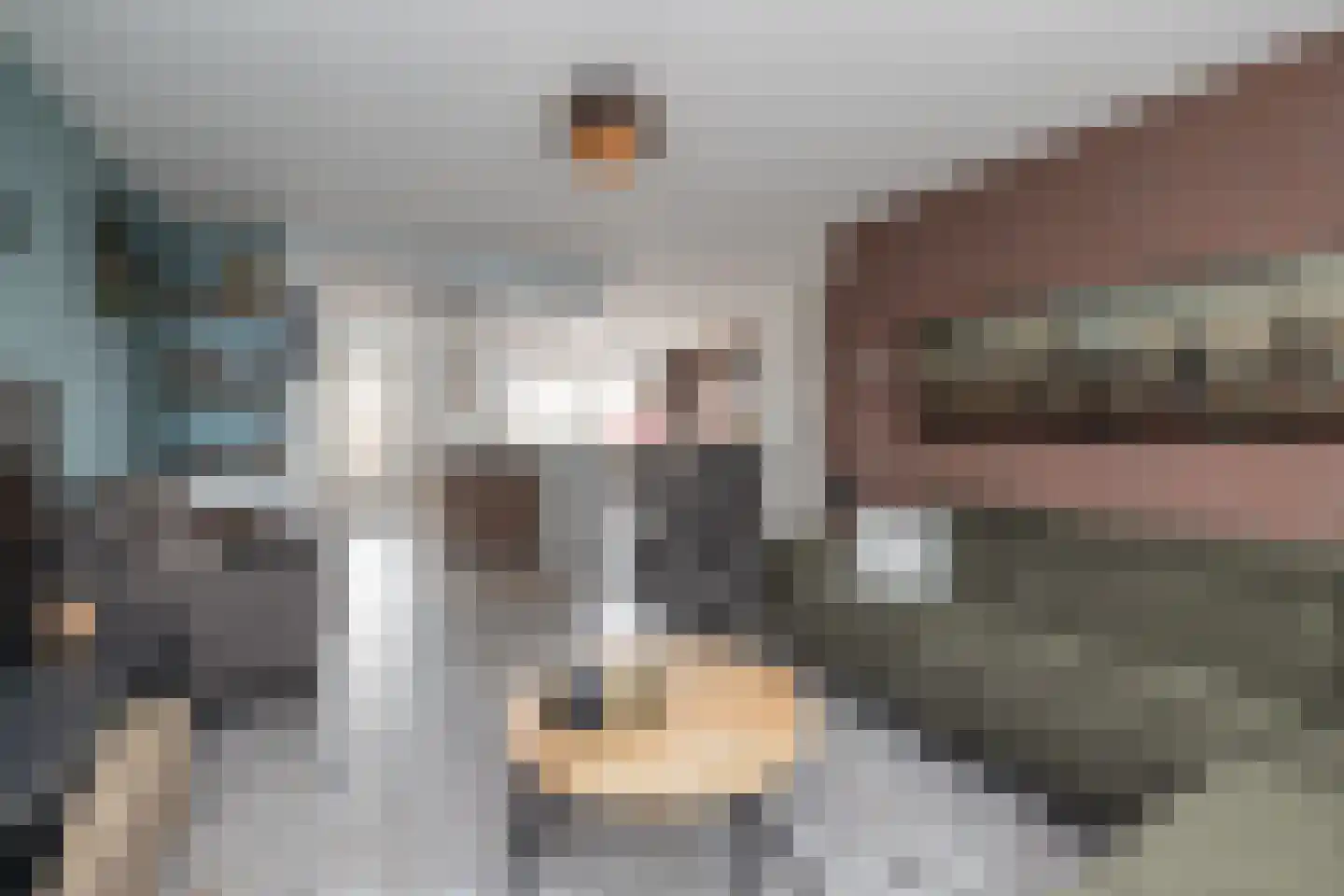 Hannie Schaftlaan 12 Lisse thumbnail 12