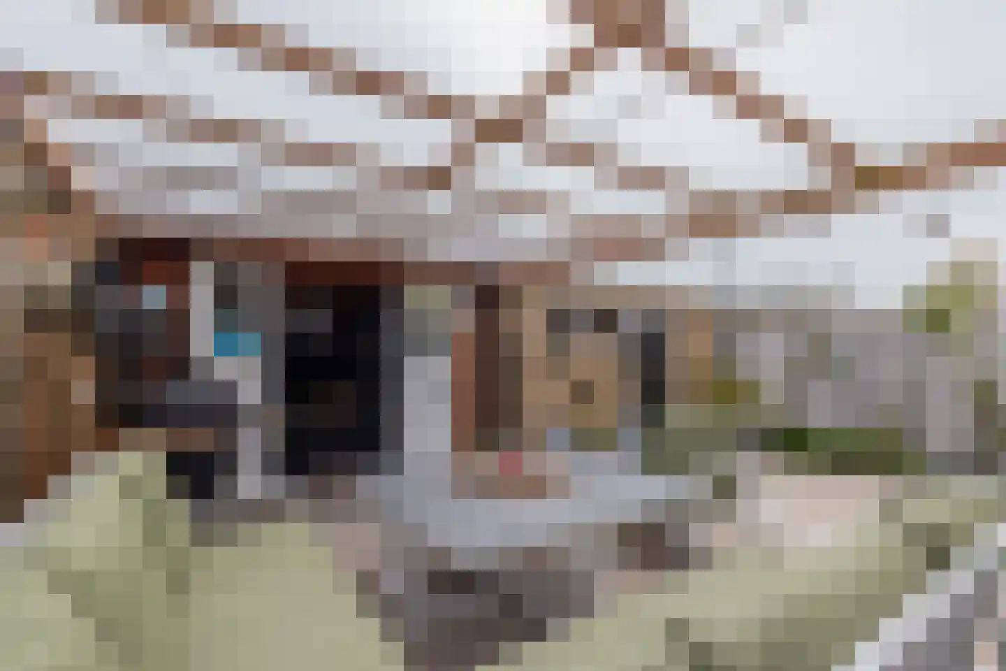 Hannie Schaftlaan 12 Lisse thumbnail 16