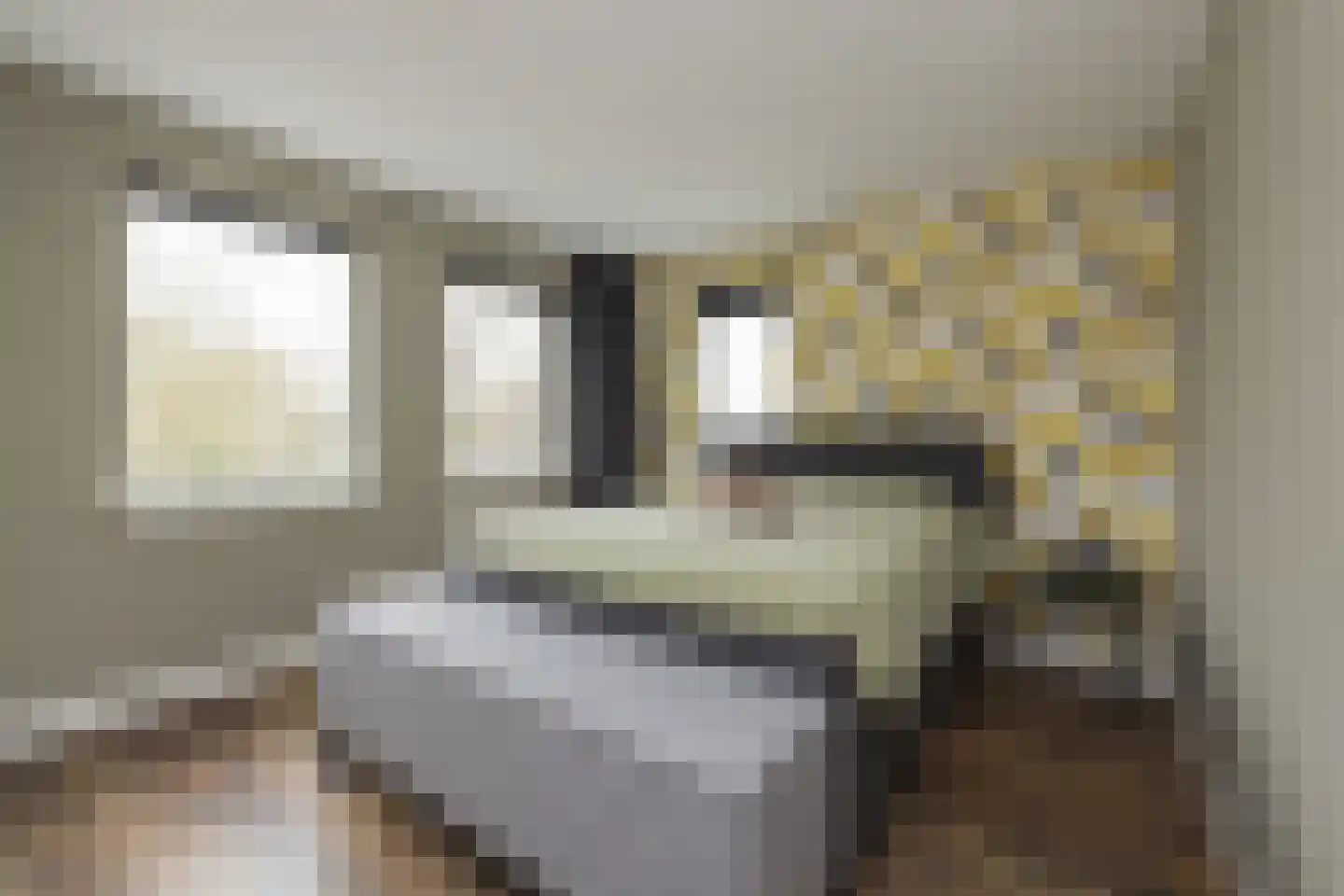 Hannie Schaftlaan 12 Lisse thumbnail 25