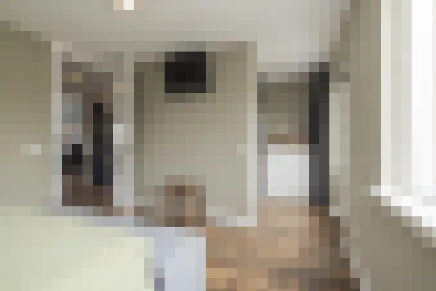 Hannie Schaftlaan 12 Lisse thumbnail 26