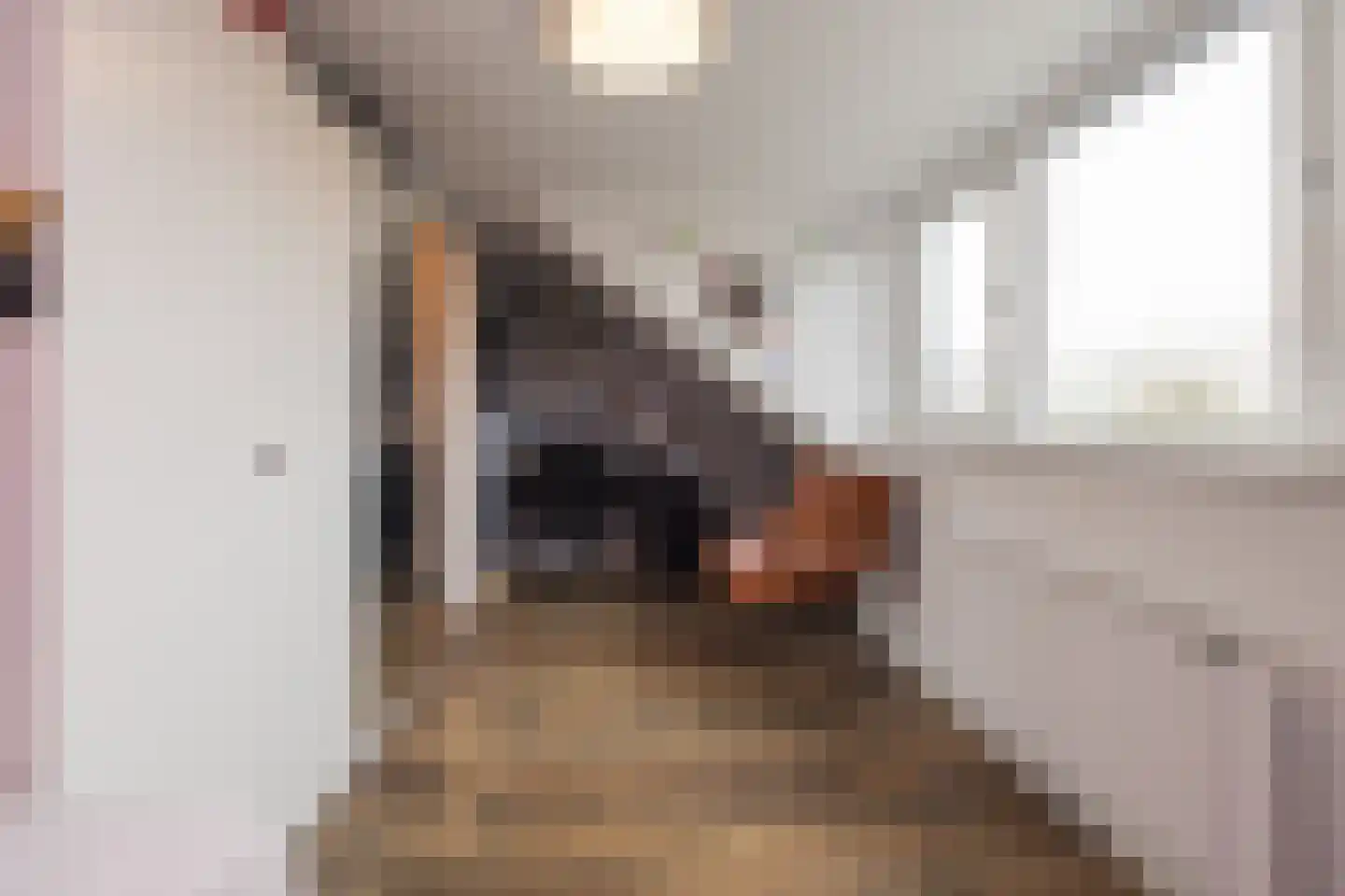 Hannie Schaftlaan 12 Lisse thumbnail 39