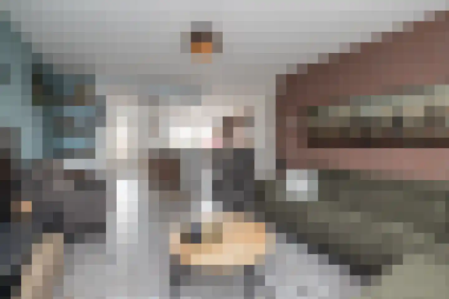 Hannie Schaftlaan 12 Lisse thumbnail 4