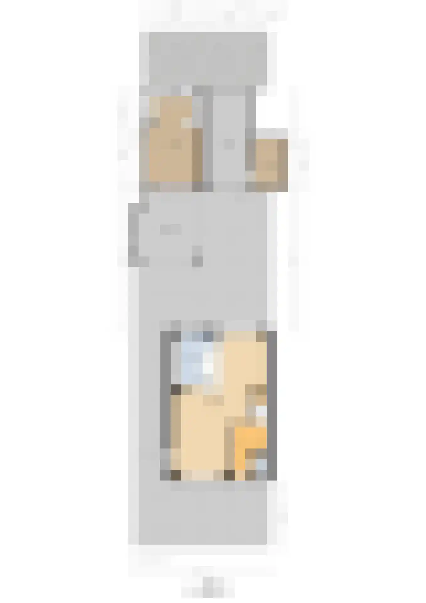 Hannie Schaftlaan 12 Lisse thumbnail 40