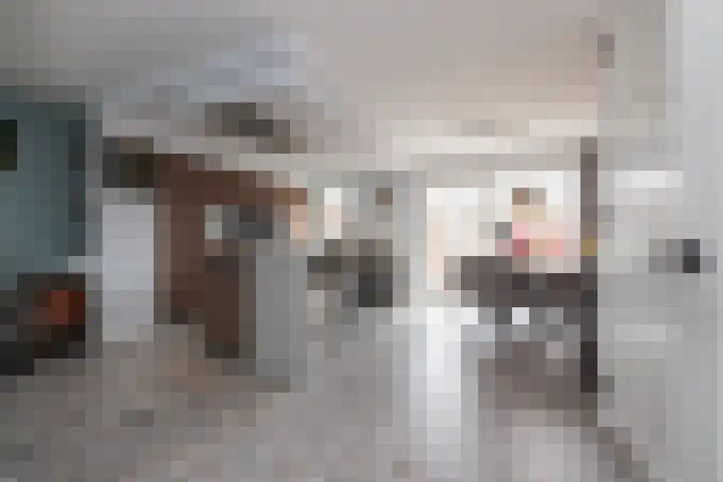 Hannie Schaftlaan 12 Lisse thumbnail 7