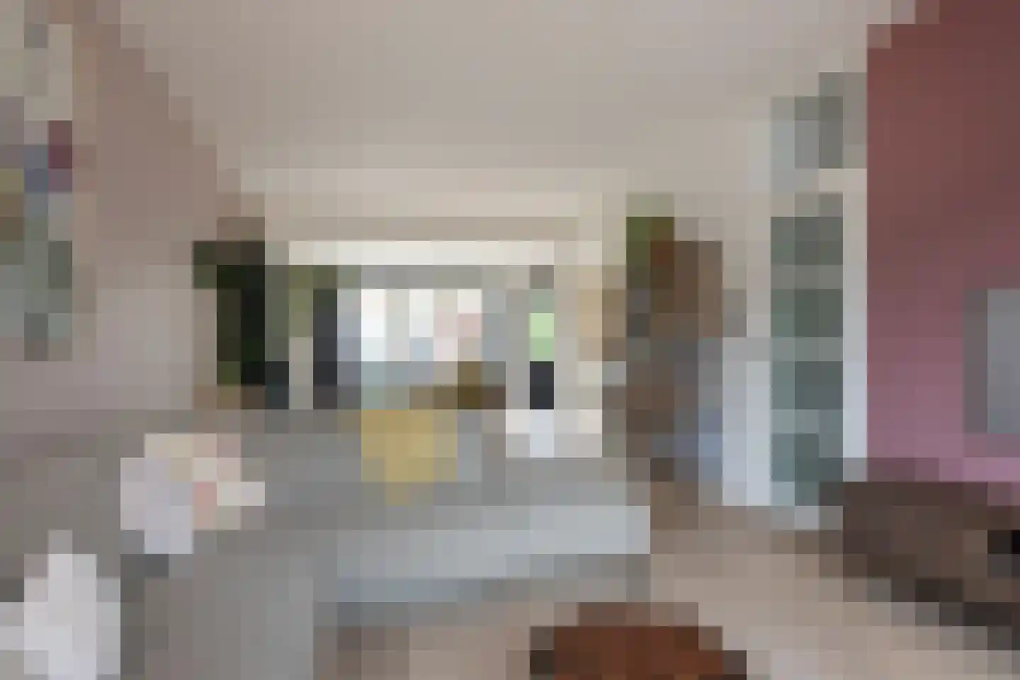 Hannie Schaftlaan 13 Zeist thumbnail 16