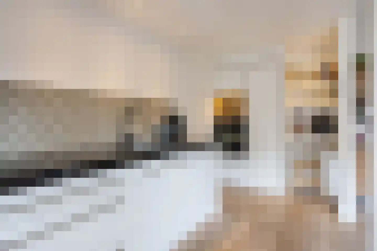 Hannie Schaftlaan 13 Zeist thumbnail 21