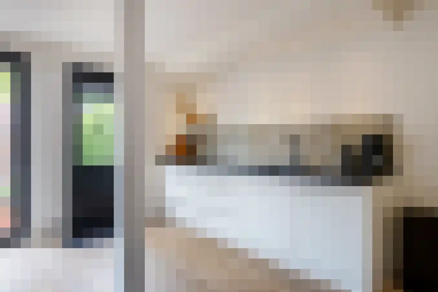 Hannie Schaftlaan 13 Zeist thumbnail 22
