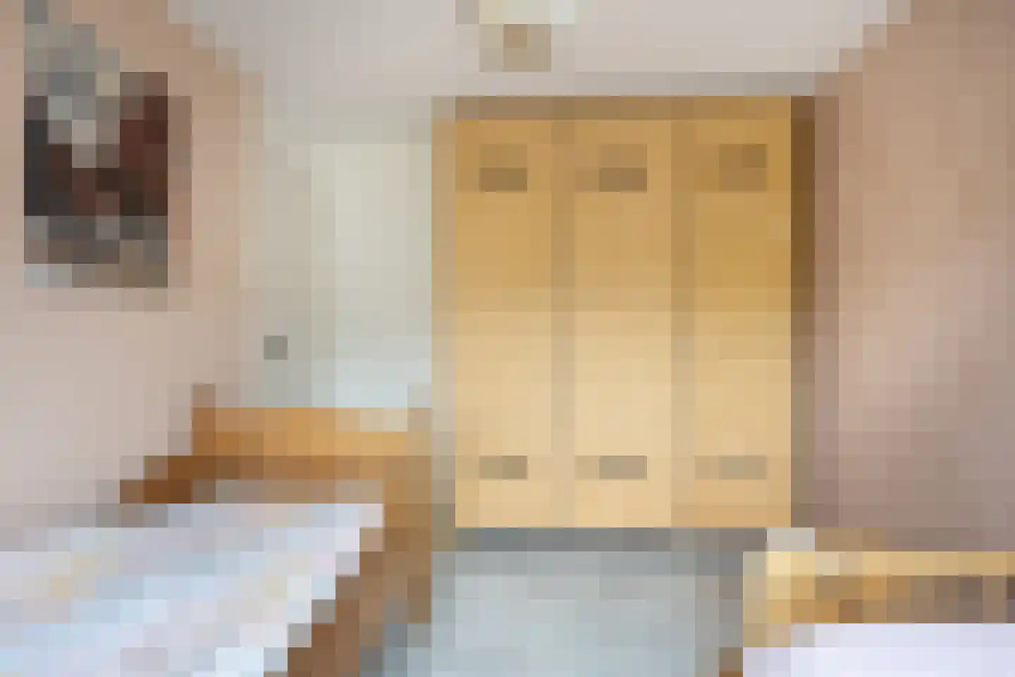 Hannie Schaftlaan 13 Zeist thumbnail 30