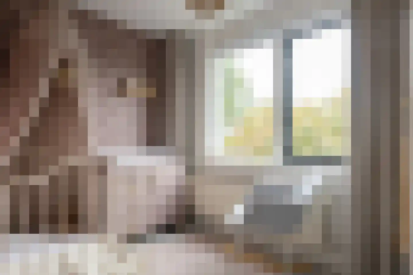 Hannie Schaftlaan 13 Zeist thumbnail 34
