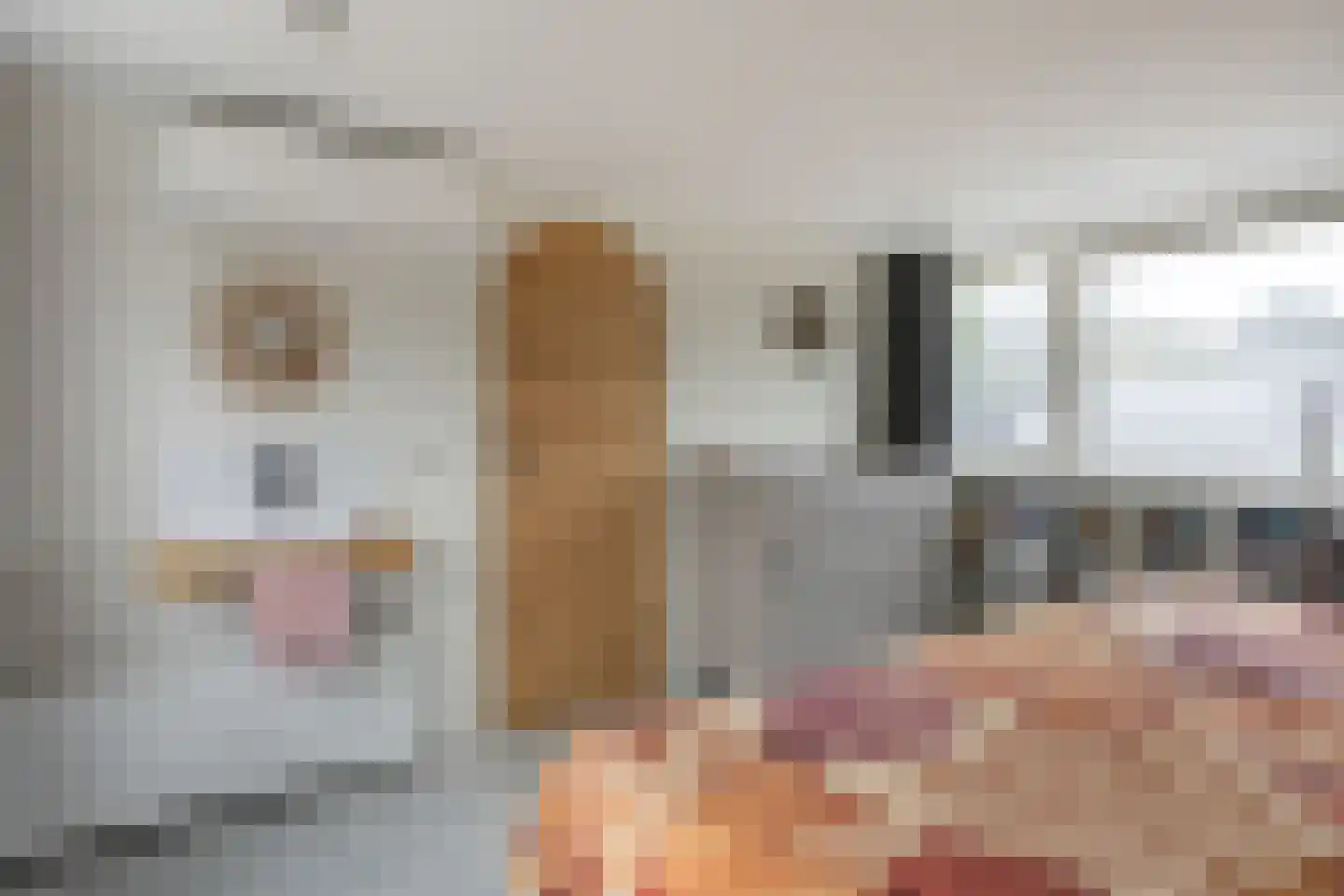 Hannie Schaftlaan 13 Zeist thumbnail 42