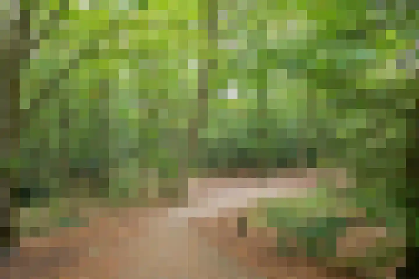 Hannie Schaftlaan 13 Zeist thumbnail 57