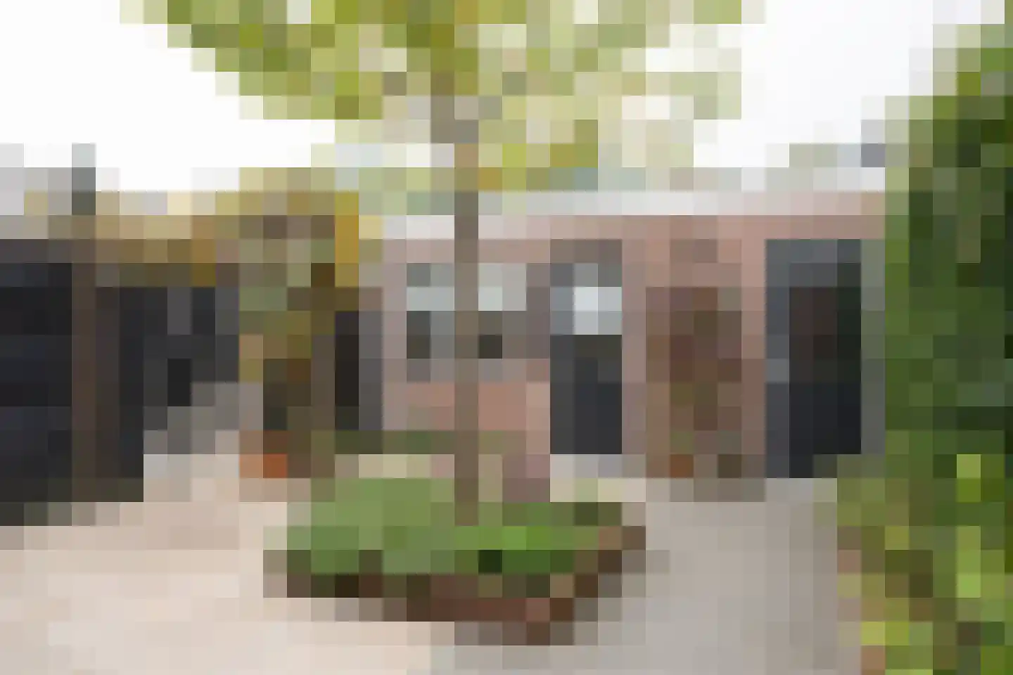 Hannie Schaftlaan 13 Zeist thumbnail 6