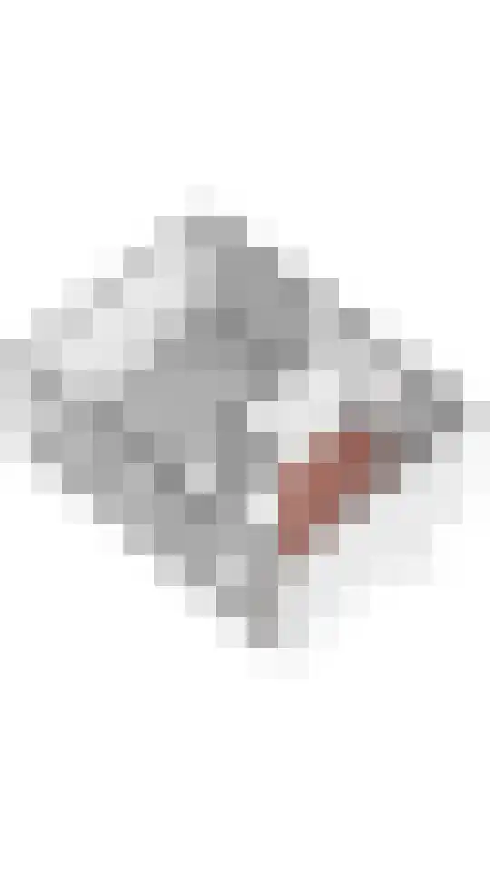 Hannie Schaftlaan 13 Zeist thumbnail 65