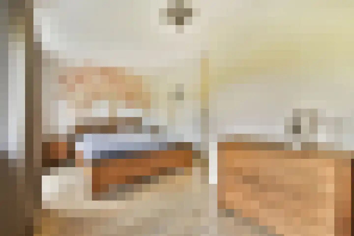 Hannie Schaftlaan 18 Lisse thumbnail 16