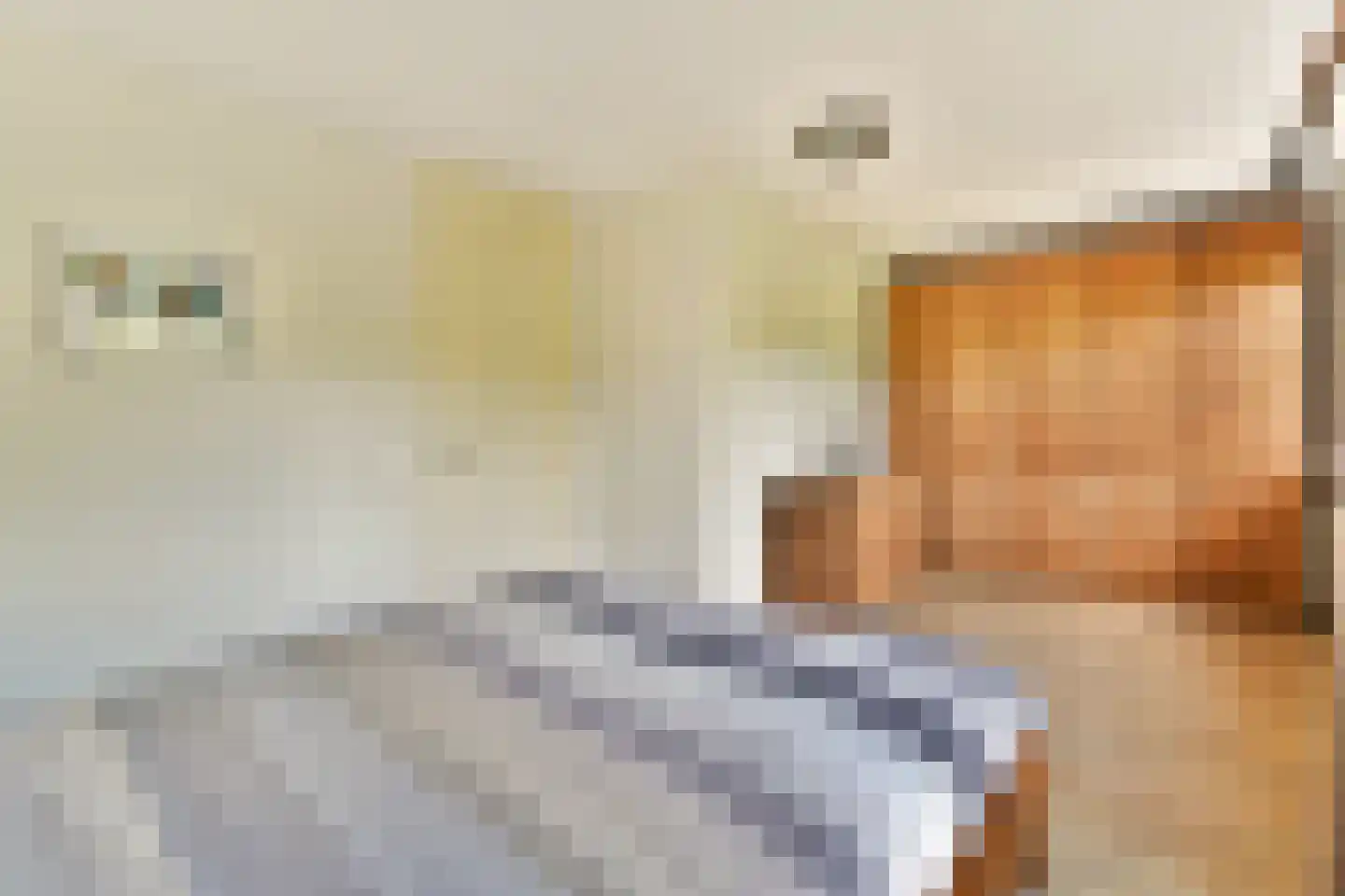 Hannie Schaftlaan 18 Lisse thumbnail 17