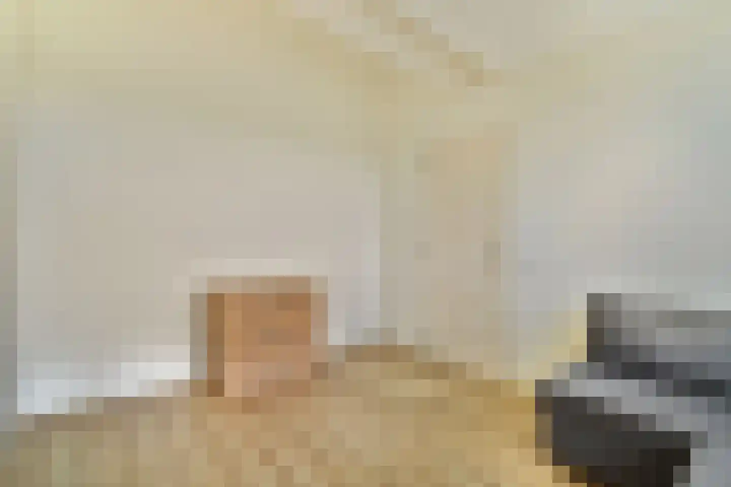Hannie Schaftlaan 18 Lisse thumbnail 30