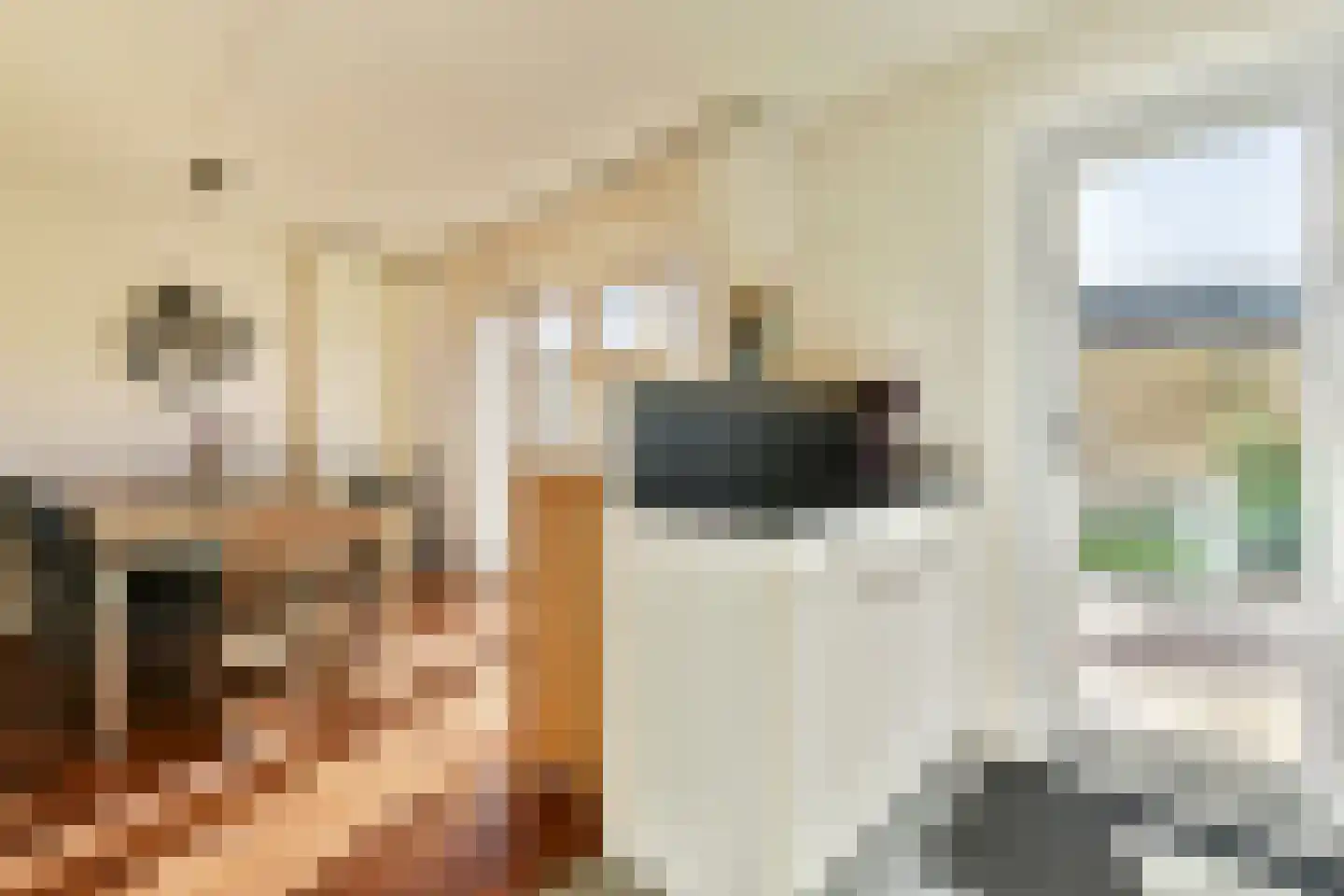 Hannie Schaftlaan 18 Lisse thumbnail 8