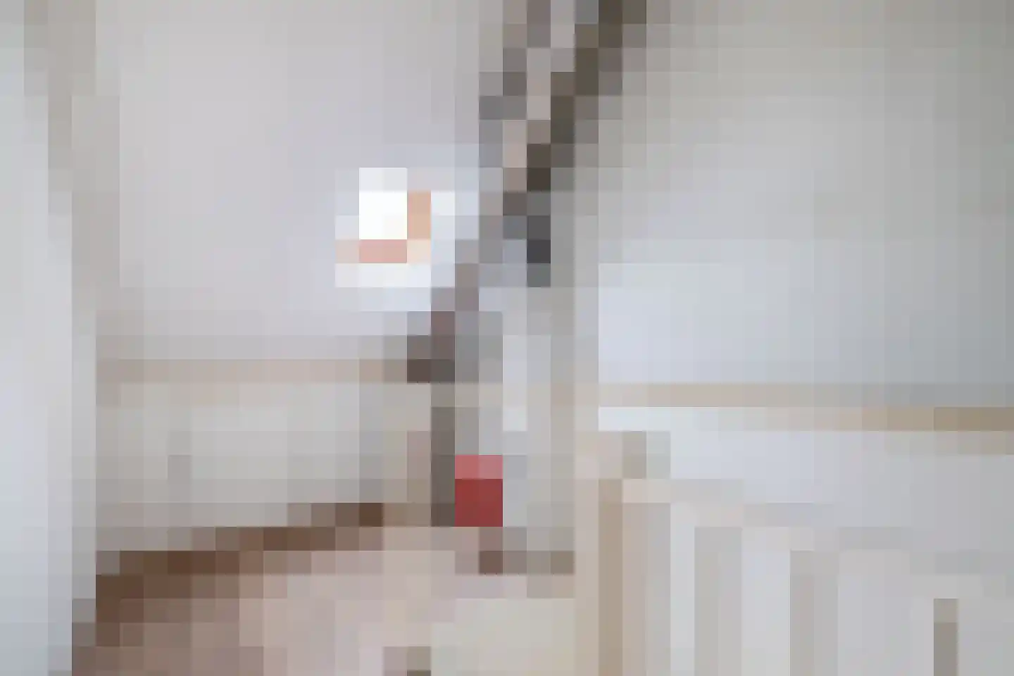 Hannie Schaftlaan 40 Lisse thumbnail 28