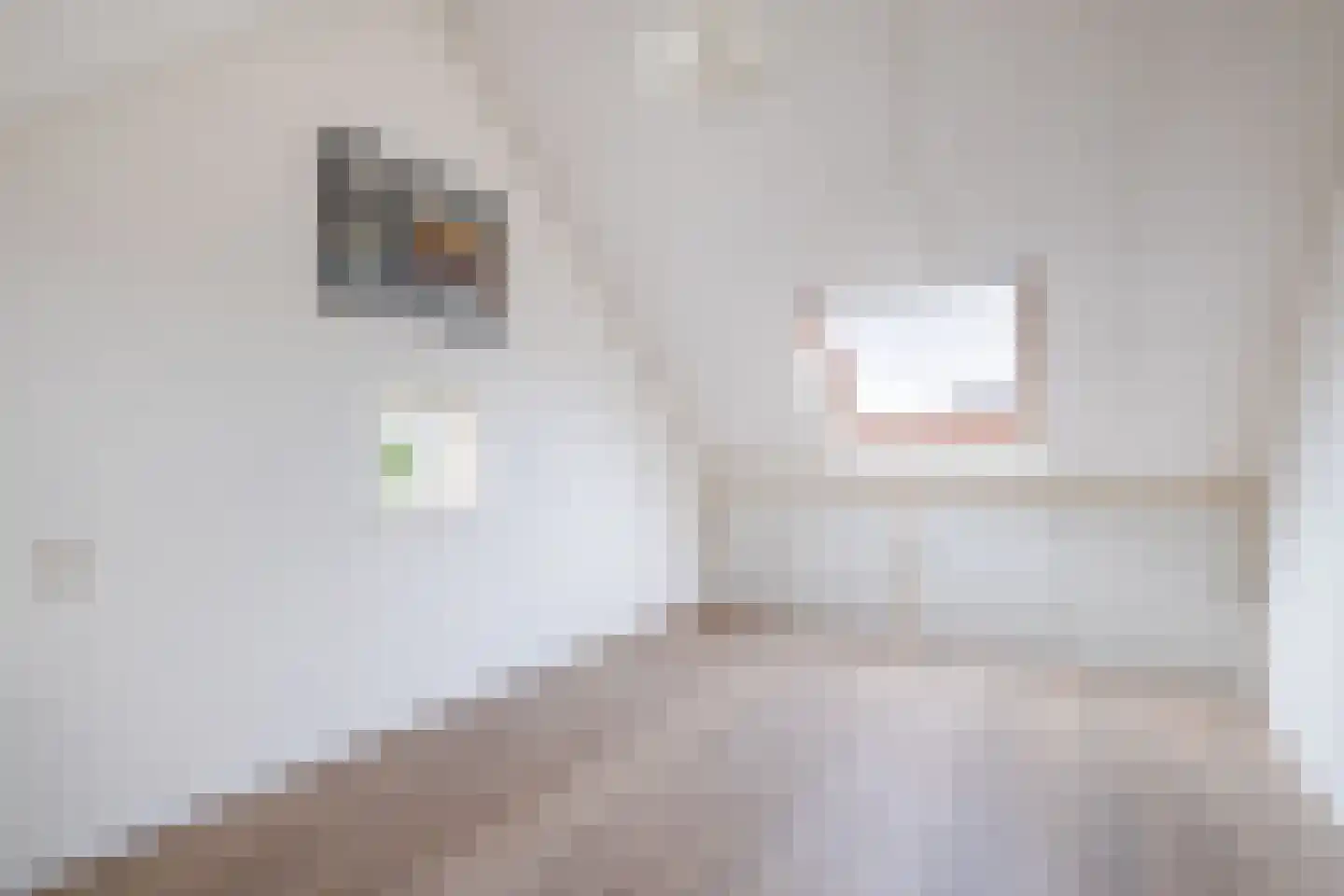 Hannie Schaftlaan 40 Lisse thumbnail 31