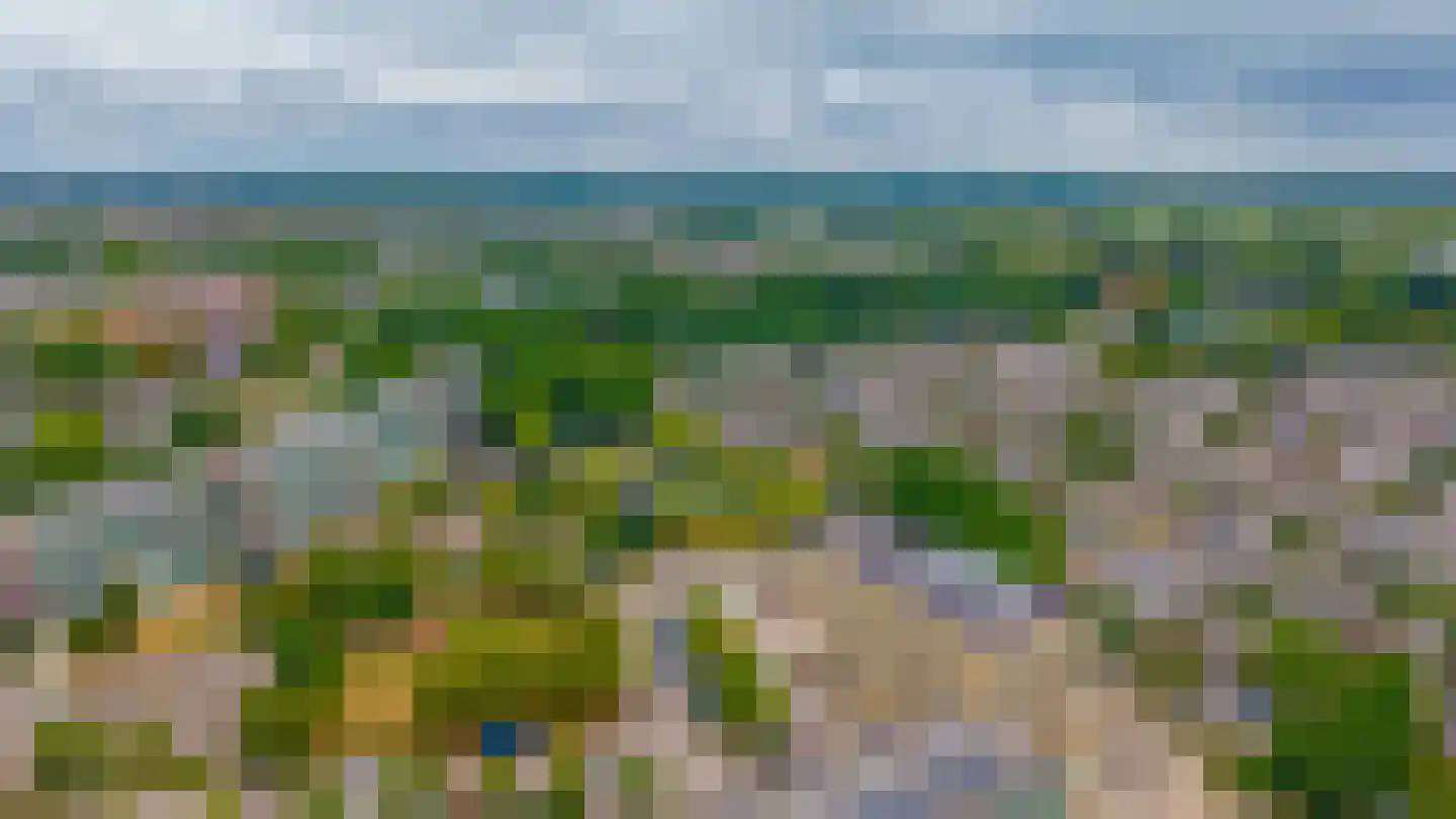 Hannie Schaftlaan 40 Lisse thumbnail 46