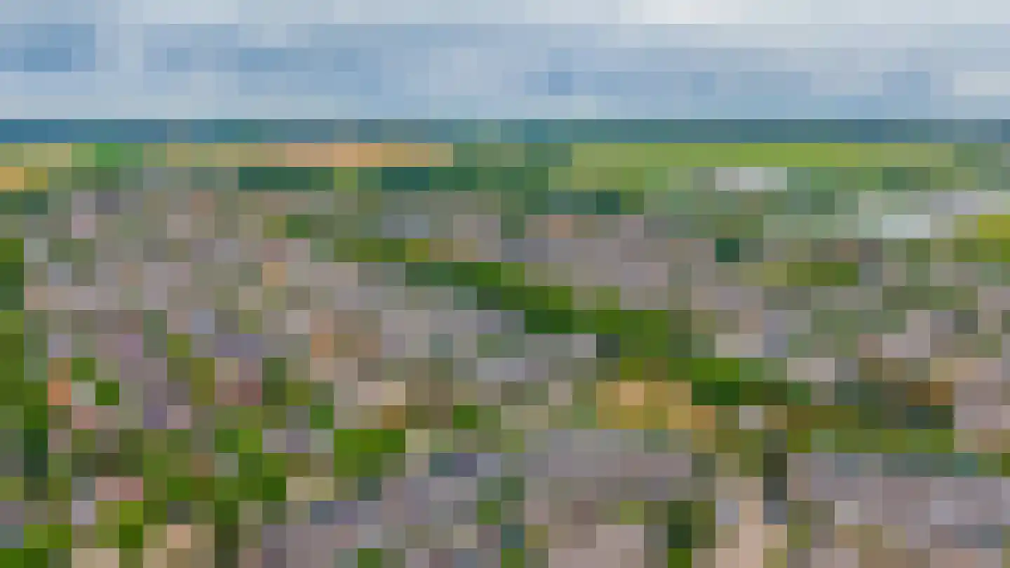 Hannie Schaftlaan 40 Lisse thumbnail 47