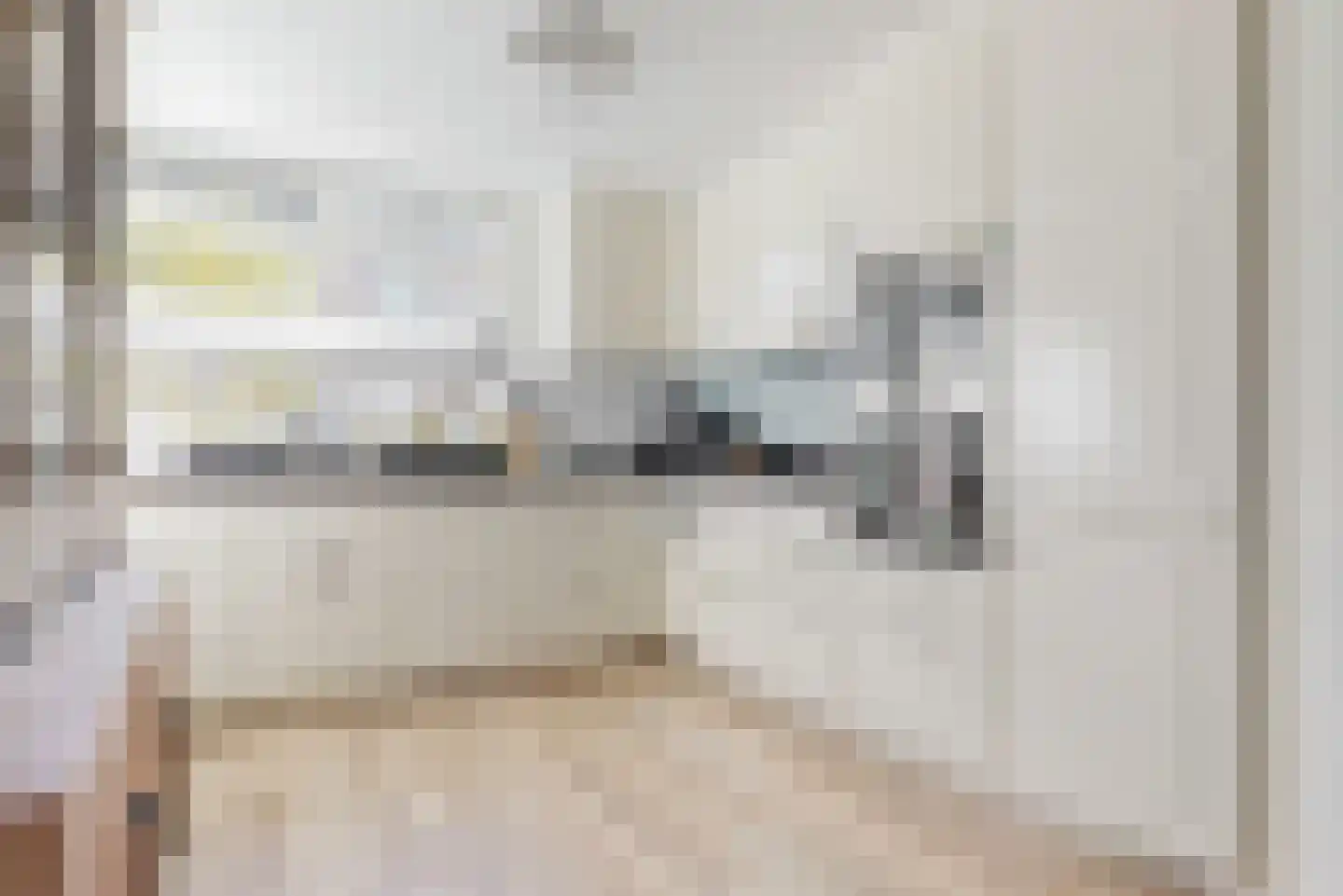 Hannie Schaftlaan 44 Lisse thumbnail 11