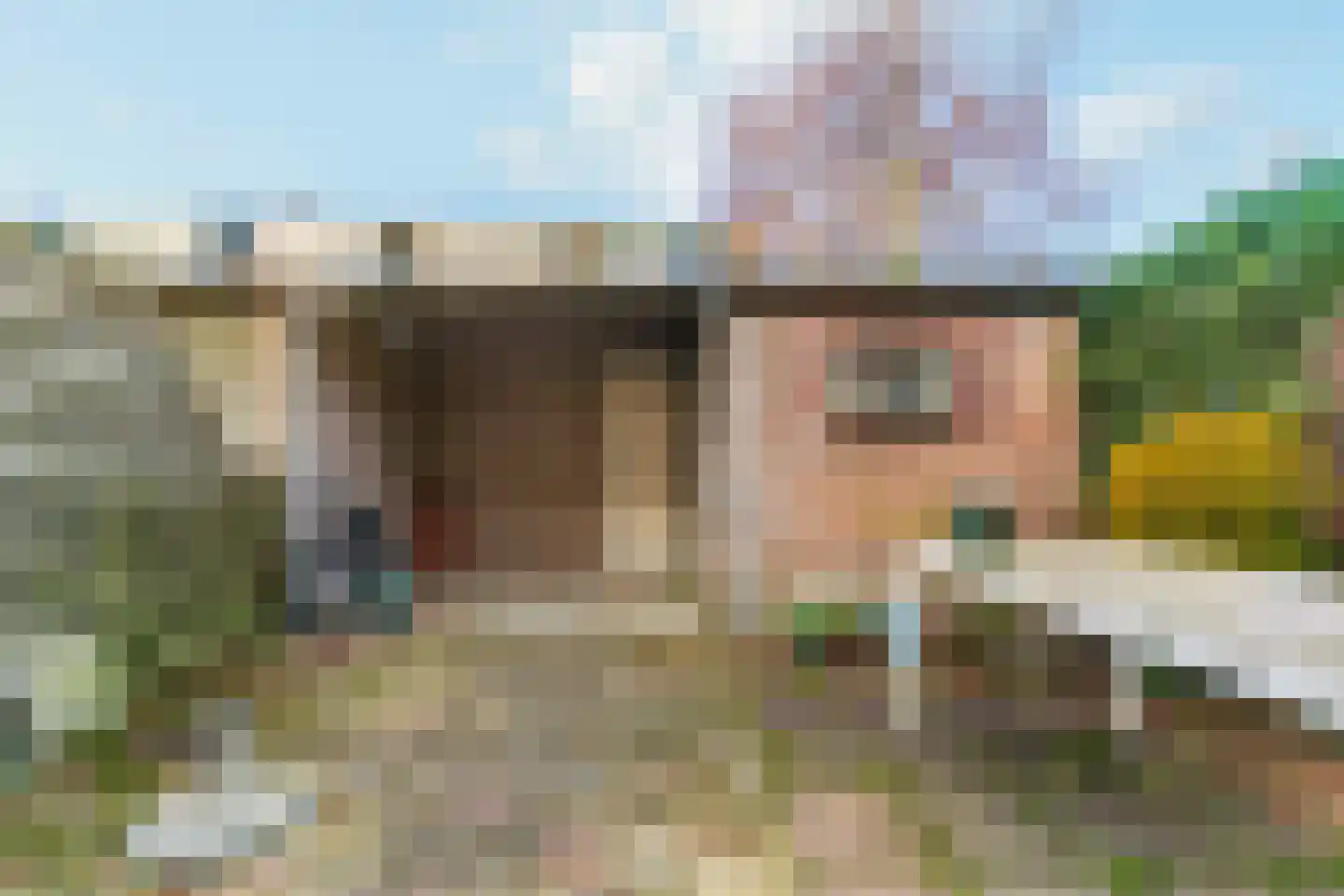 Hannie Schaftlaan 44 Lisse thumbnail 29