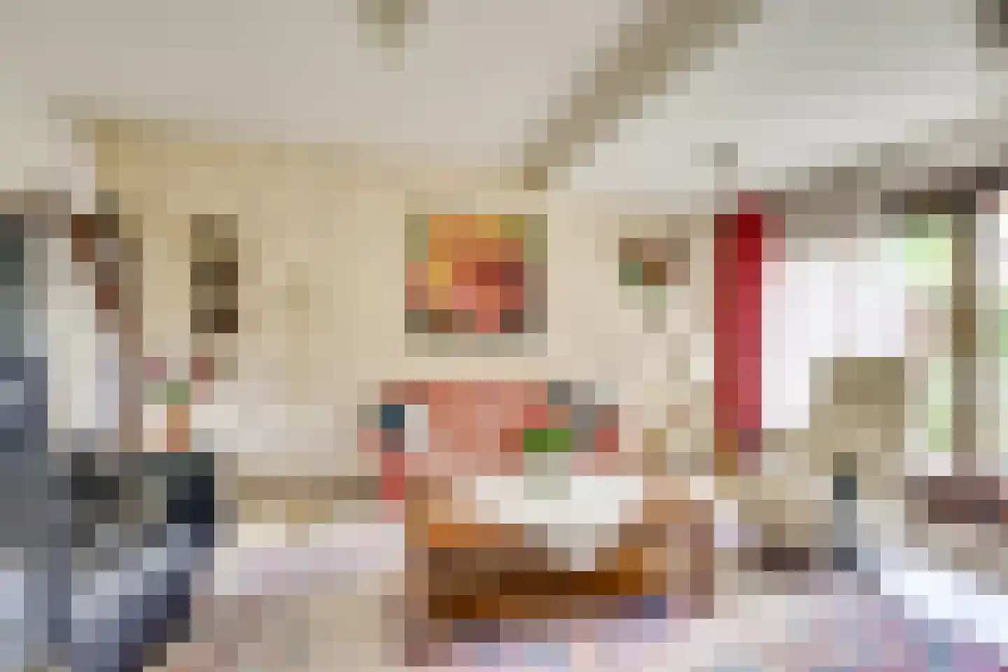 Hannie Schaftlaan 5 Zeist thumbnail 12