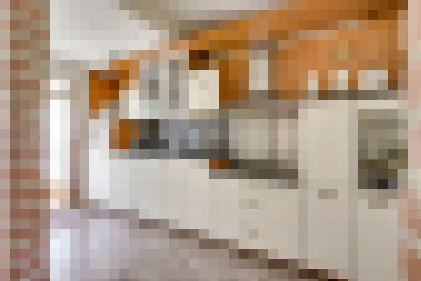 Hannie Schaftlaan 5 Zeist thumbnail 13
