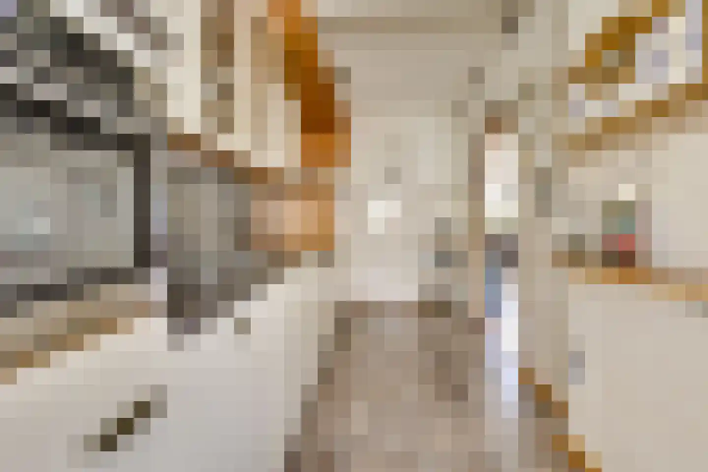 Hannie Schaftlaan 5 Zeist thumbnail 14