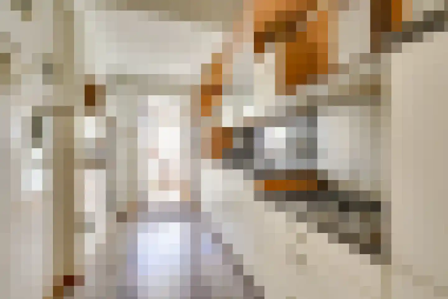 Hannie Schaftlaan 5 Zeist thumbnail 15