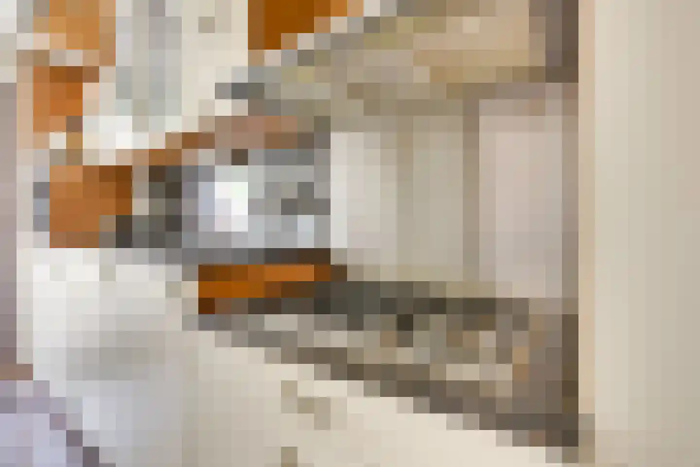 Hannie Schaftlaan 5 Zeist thumbnail 18