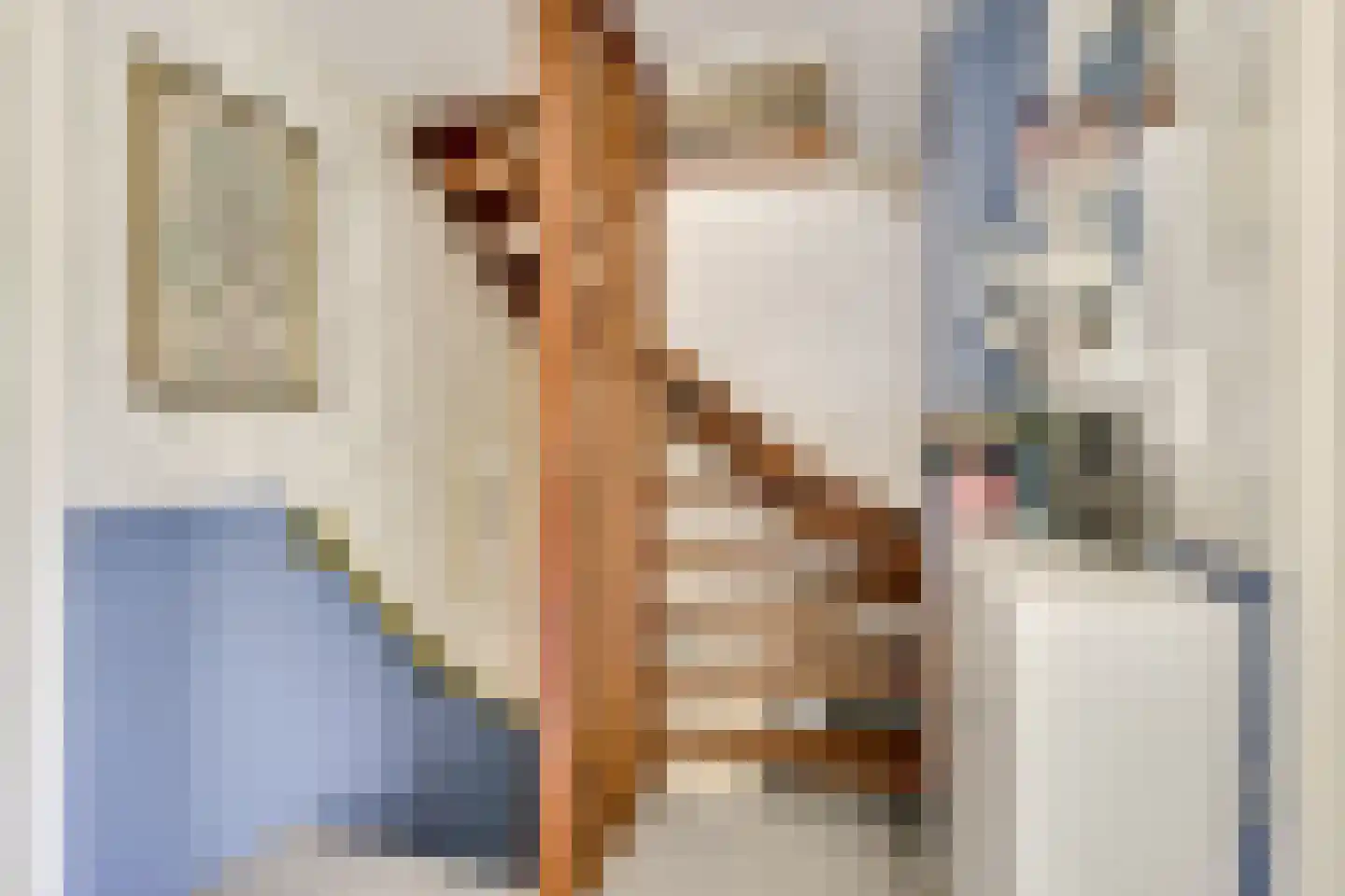 Hannie Schaftlaan 5 Zeist thumbnail 27