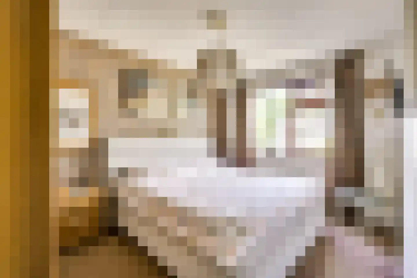 Hannie Schaftlaan 5 Zeist thumbnail 28