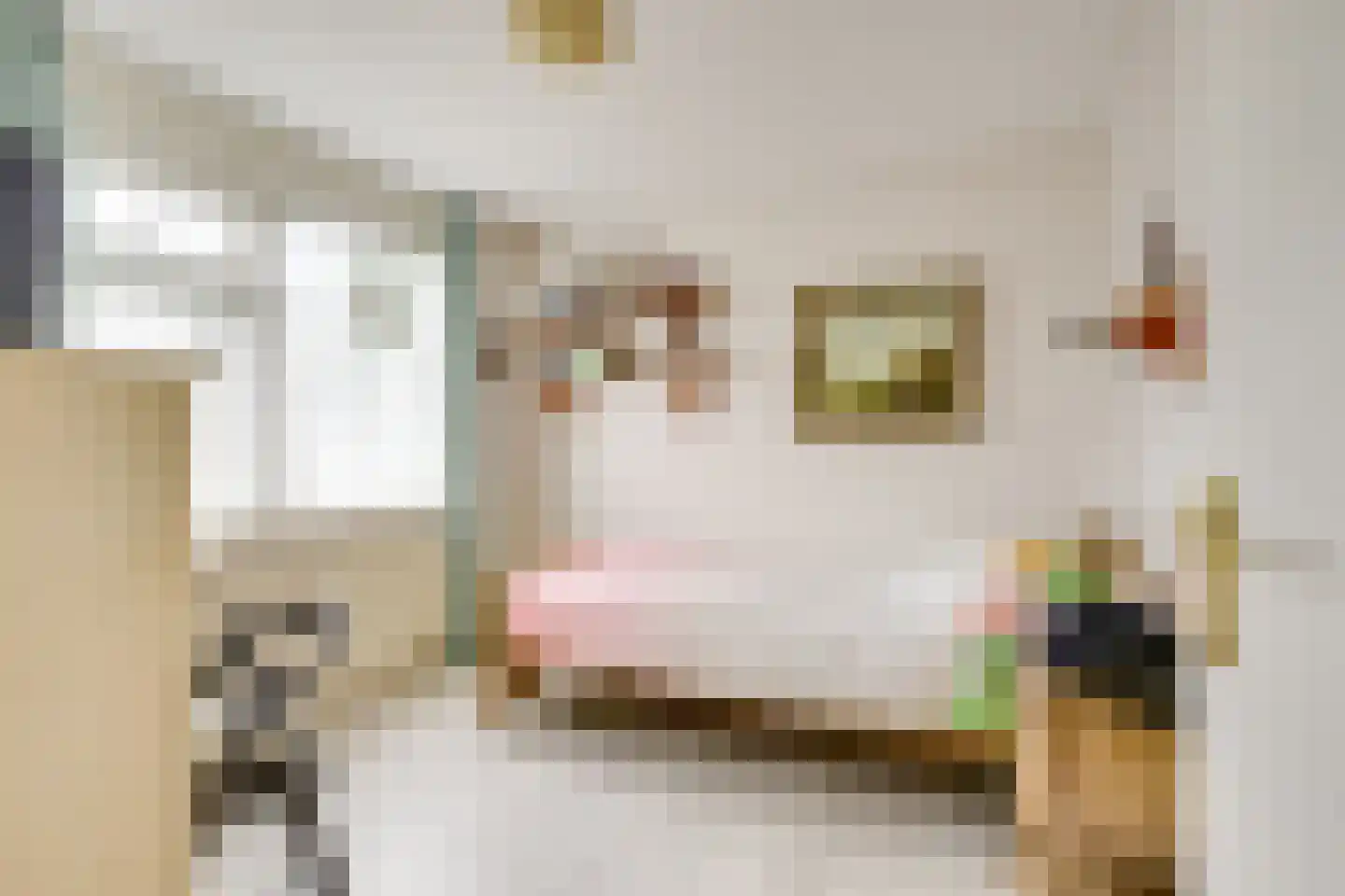 Hannie Schaftlaan 5 Zeist thumbnail 29