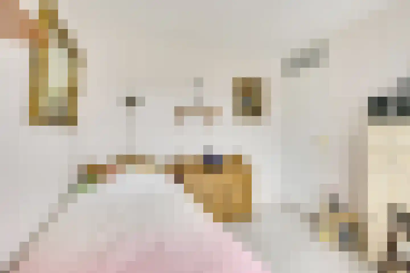 Hannie Schaftlaan 5 Zeist thumbnail 30