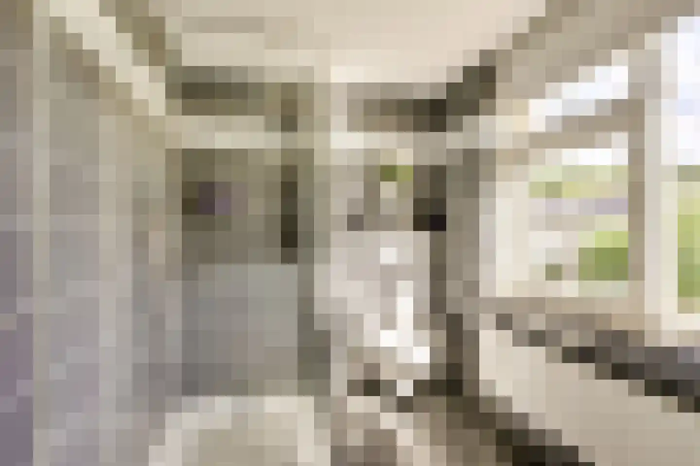 Hannie Schaftlaan 5 Zeist thumbnail 33