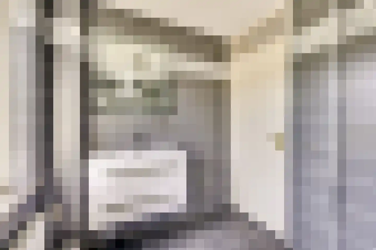Hannie Schaftlaan 5 Zeist thumbnail 34