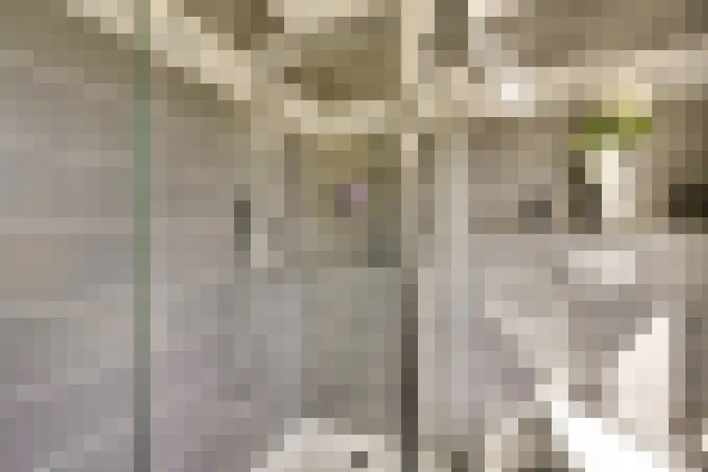 Hannie Schaftlaan 5 Zeist thumbnail 35