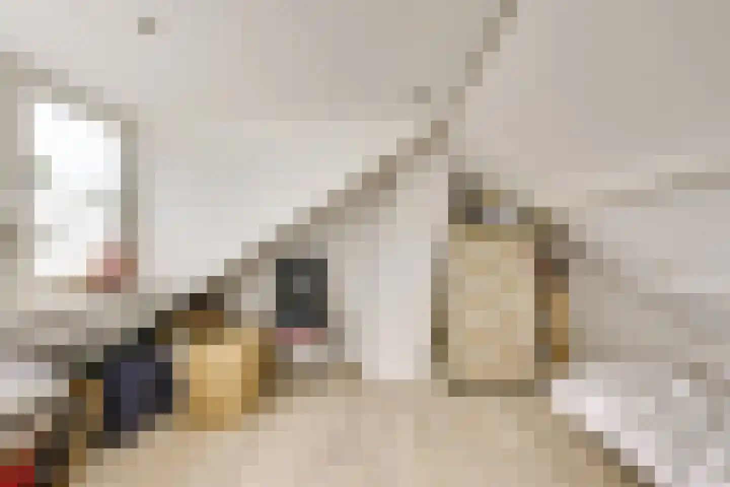 Hannie Schaftlaan 5 Zeist thumbnail 36