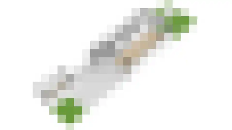 Hannie Schaftlaan 5 Zeist thumbnail 58