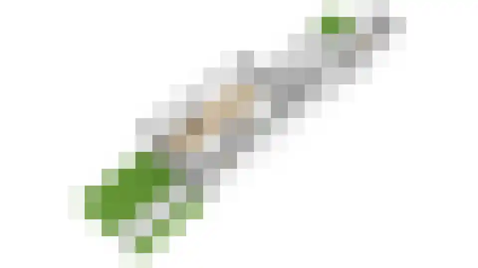 Hannie Schaftlaan 5 Zeist thumbnail 59