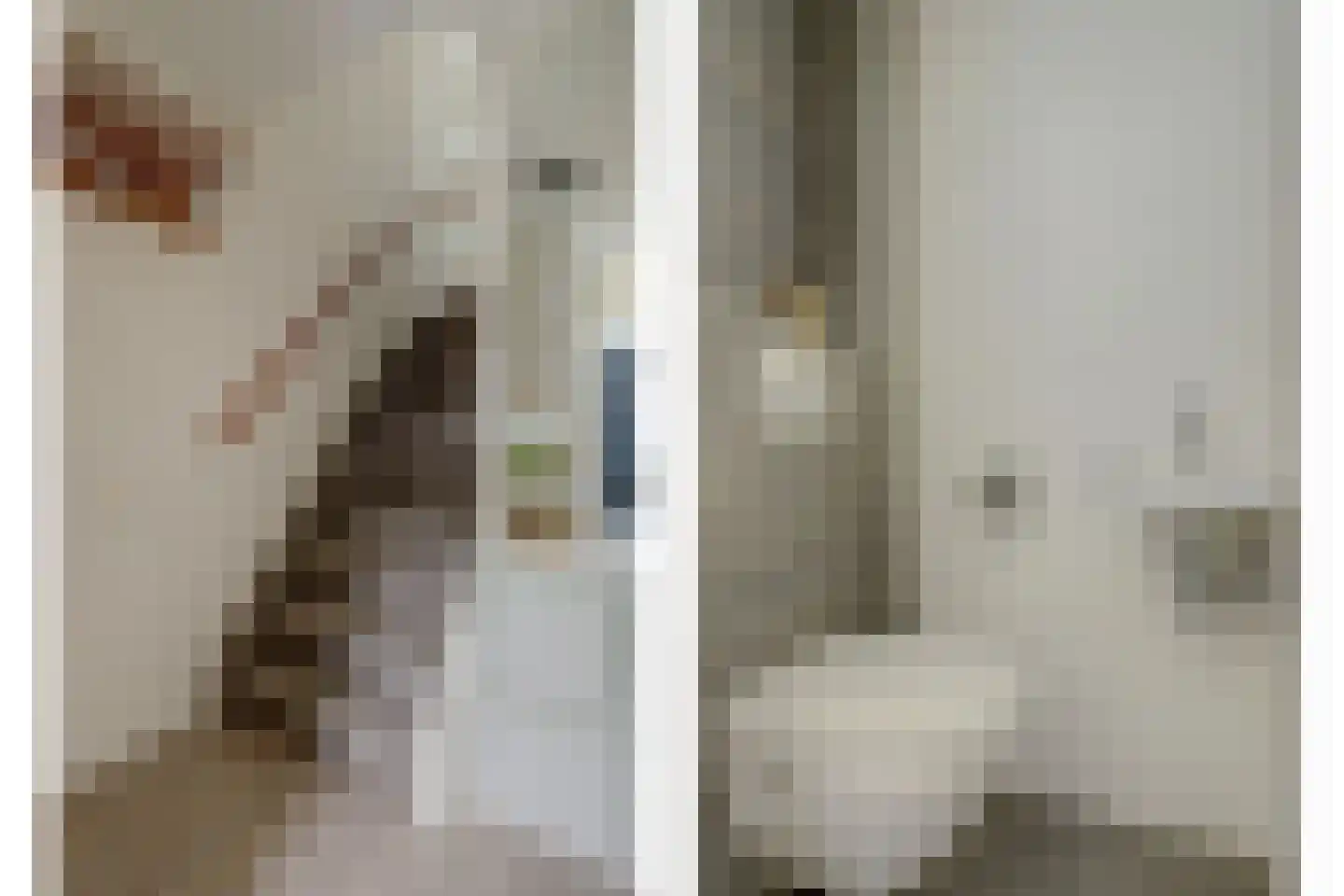 Hannie Schaftlaan 60 Lisse thumbnail 10